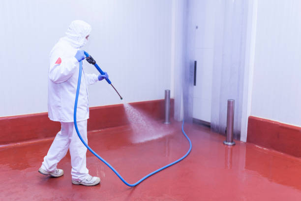 Best Oil Spill Cleanup  in Jemison, AL