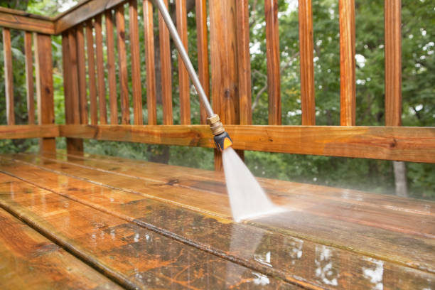Best Animal Enclosure Cleaning  in Jemison, AL